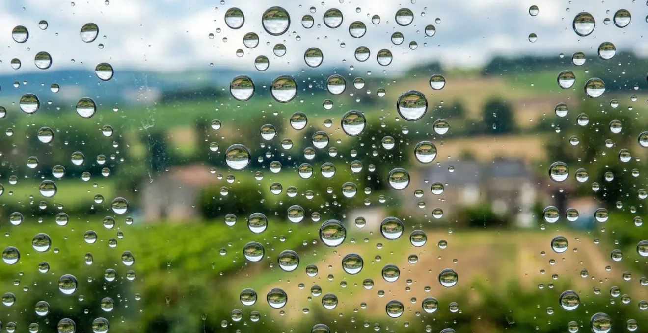Vue macro à travers une fenêtre de train montrant les détails du paysage français